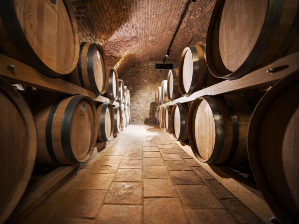 Vínne pivnice a vinotéka