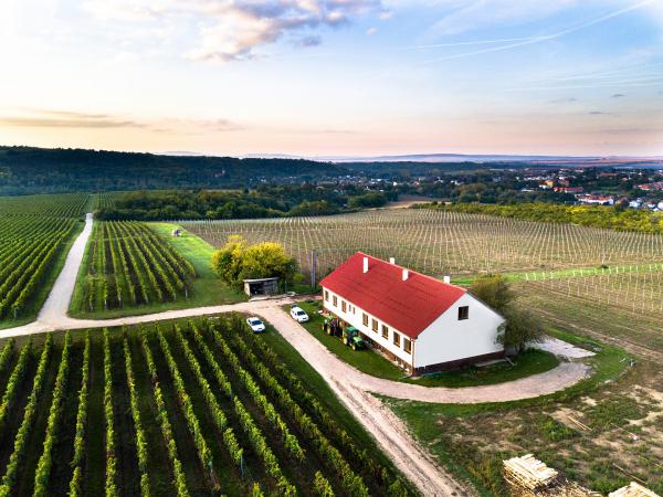 Vineyards