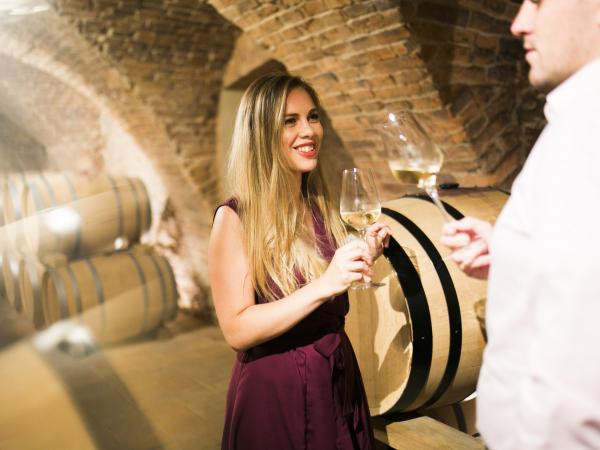 Wine cellar - tastings